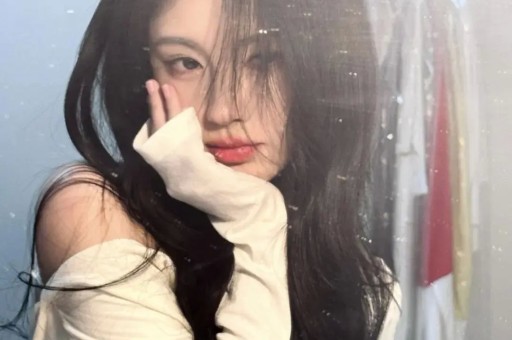 离婚12年再看独居大别墅的车晓娱乐圈的残酷应验了! 离婚12年再看独居大别墅的车晓娱乐圈的残酷应验了!